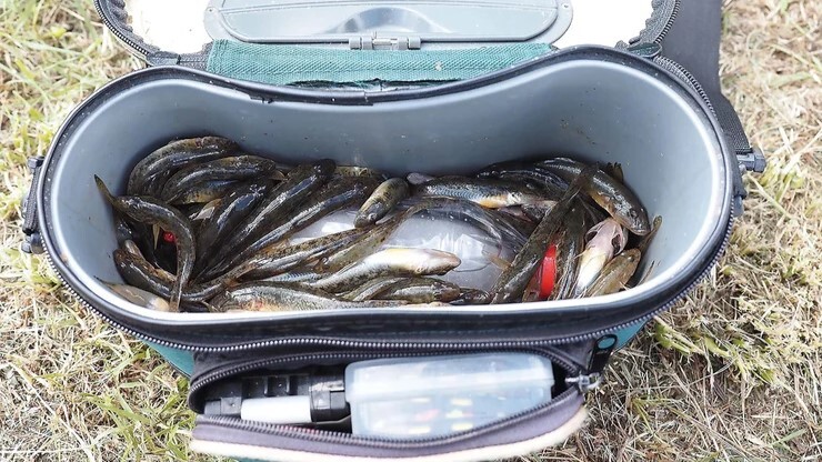 ハゼ釣り攻略】ミャク釣りでアタリを倍増させる秘訣とは